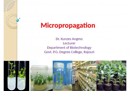 picture_Plant Tissue Culture Slideshare 77595 | Dkunzes Angmo
