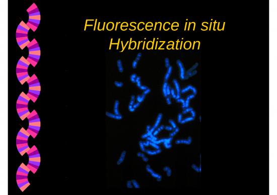 picture_Analysis Ppt Repost 77739 | Fish Item Download 2022-09-03 07-47-02