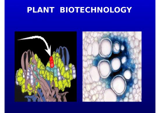 picture1_Plant Tissue Culture Slideshare 77212 | Plntbiotech20101