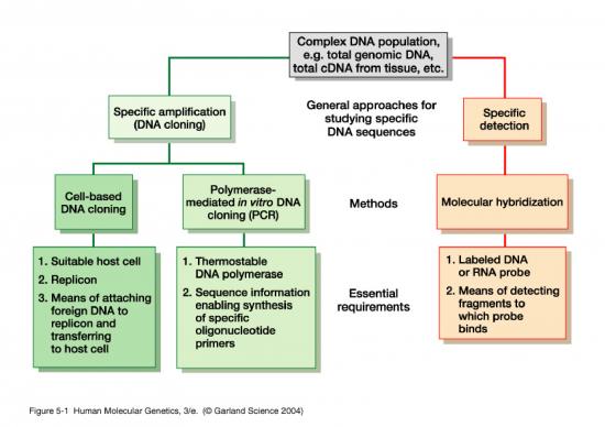 picture1_Slides1