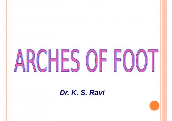 picture1_Powerpoint Foot 80625 | Arches Of Foot