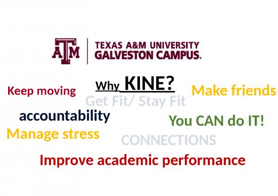 picture Activity Ppt 80374 | Kine Nsc2020pres