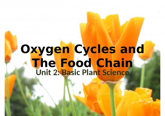 picture1_Oxygen Cycle And Food Chain