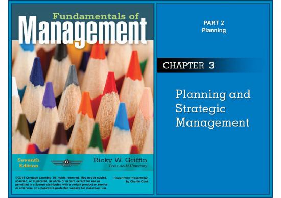 picture Strategy Slides 79354 | Slides 03