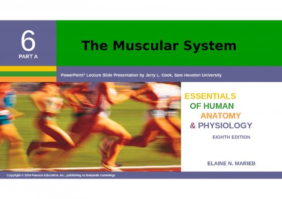 picture1_The Muscular System