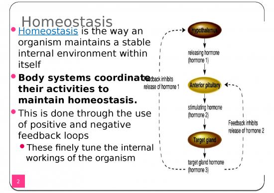 Homeostasis And Evolution