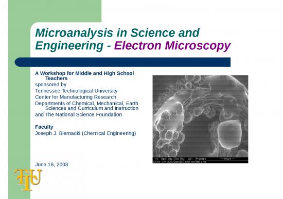 picture1_Electronmicroscopy
