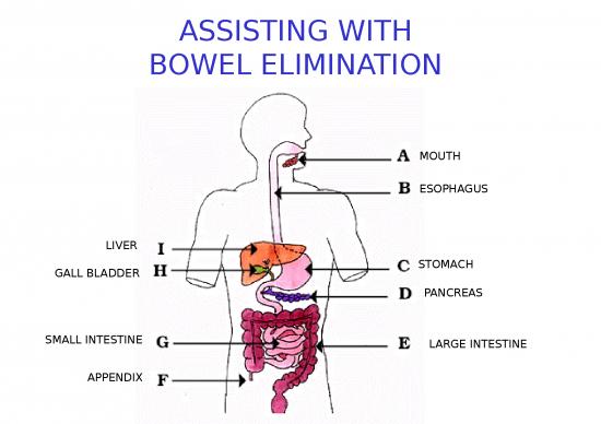 picture_Power Point Chapter 16