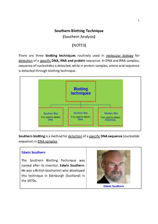 picture1_Southern Blotting Pdf 86051 | 100004152
