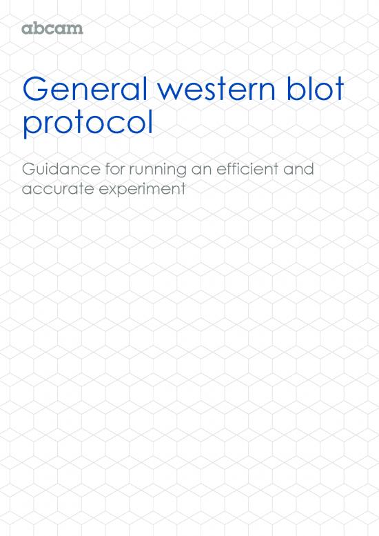 picture1_Western Blot Pdf 85582 | General Western Blot Protocol