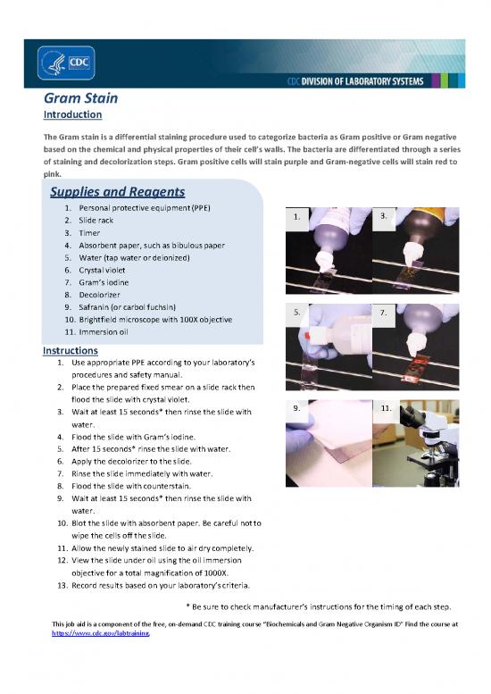picture_Gram Staining Procedure Pdf 86520 | Gram Stain Procedure Branded 508