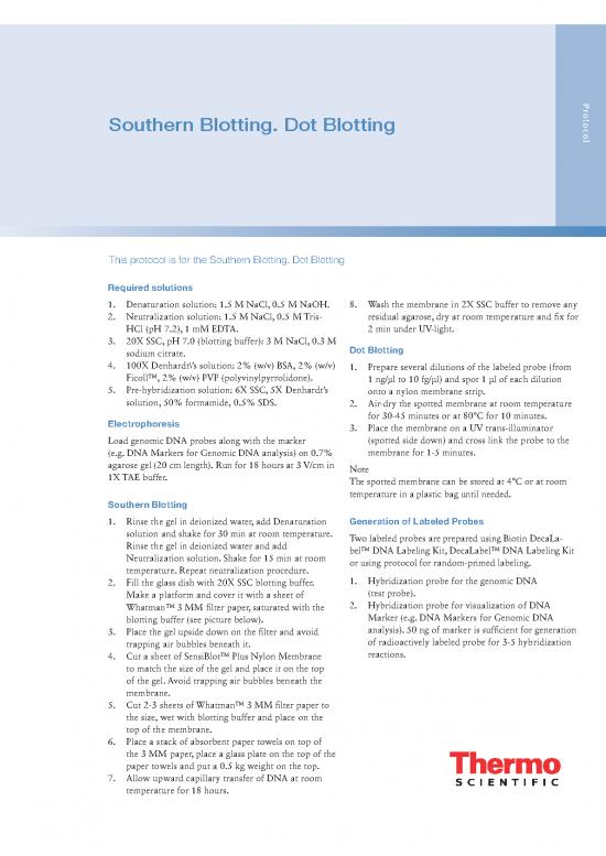 picture1_Southern Blotting Pdf 85394 | Man0013296 Southern Blottin Dot Blotting Ug