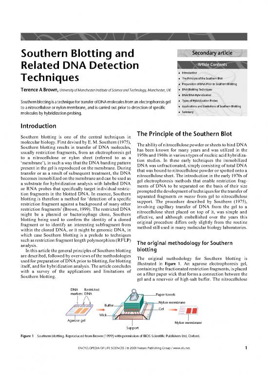 picture Southern Blotting Pdf 86424 | Southernblot