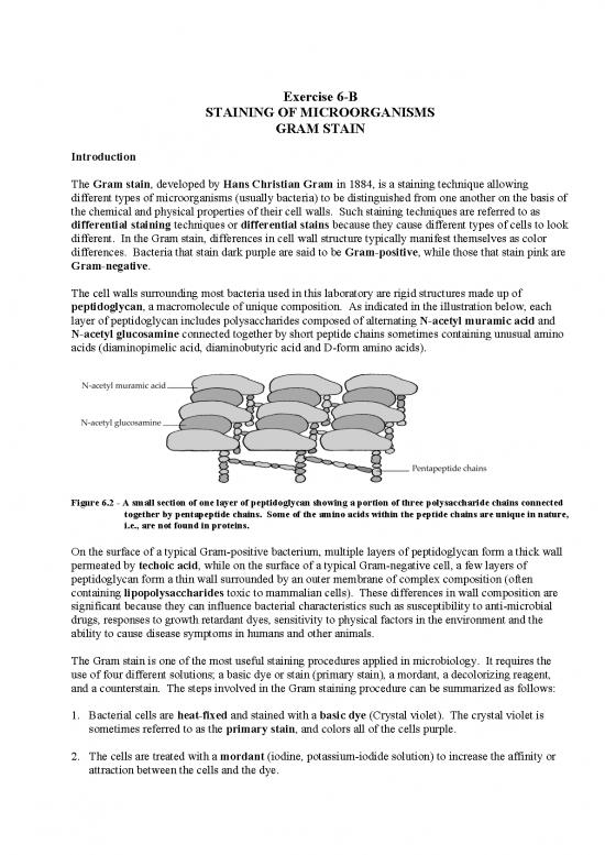 picture_Therapeutic Exercise Pdf 85421 | Staining Gram And Koh