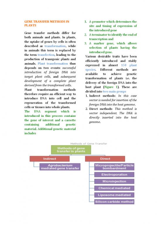 picture Gene Transfer Methods Pdf 87898 | 1511 Item Download 2022-09-15 01-52-11