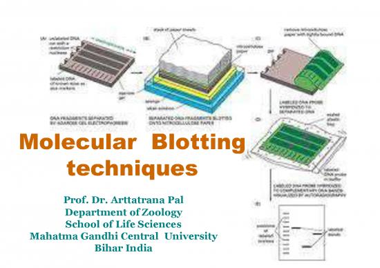 picture1_Northern Blotting Pdf 87844 | 20200415080714020f0ae820