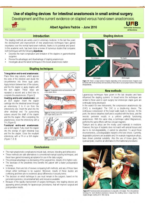 picture Anastomosis Intestinal Pdf 88261 | 78546104
