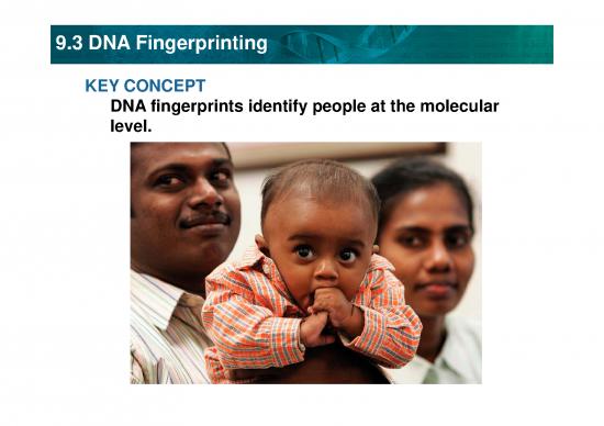 picture_Dna Fingerprinting Pdf 86915 | Bio Ch09 3