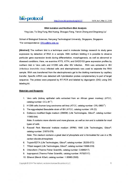 picture Thermal Analysis Pdf 87240 | Bio Protocol1077