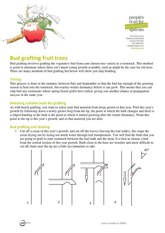 picture_Grafting Pdf 88963 | Bud Grafting