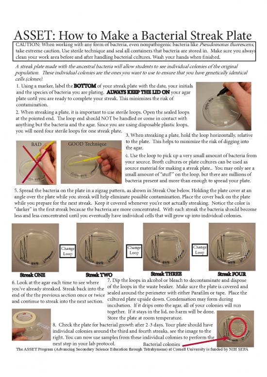 picture_How To Make A Streak Plate