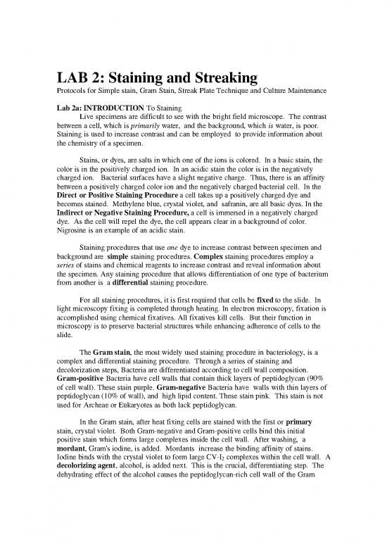 picture1_Color Therapy Pdf 89074 | Lab2 Item Download 2022-09-15 14-23-02