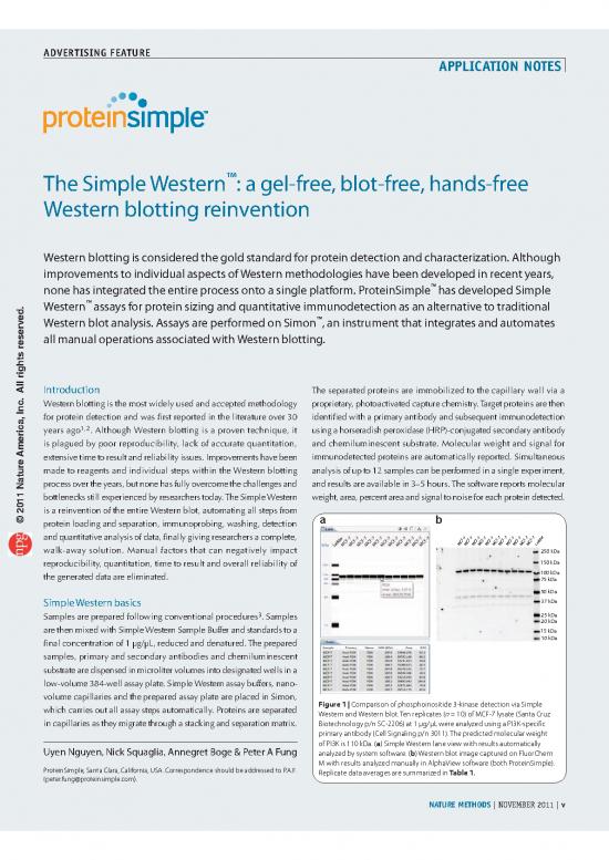 picture1_Western Blot Pdf 86926 | Nmet353