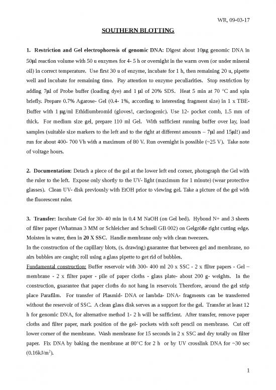 picture Southern Blotting Pdf 86862 | P 020 Southern Blotting