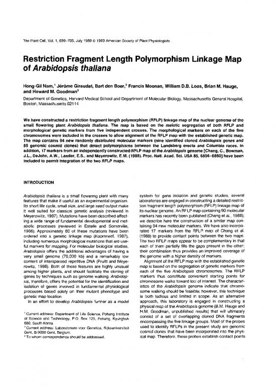 picture_Rflp Pdf 90254 | 010699