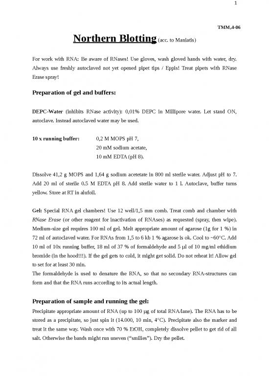 picture1_Northern Blotting Pdf 90143 | P 043 Northern Blotting