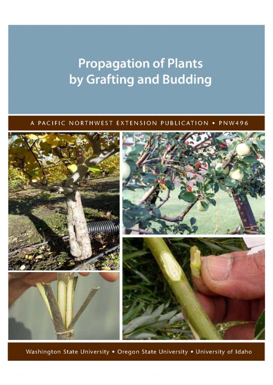picture1_Plant Propagation Methods Pdf 89804 | Plantpropagationgraftingbuddin