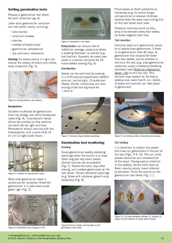 13a Germination Testing Procedures