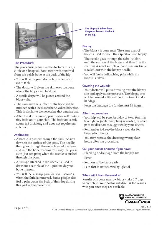 bone-marrow-aspiration-procedure-pdf-90153-bone-marrow-biopsy-sheet