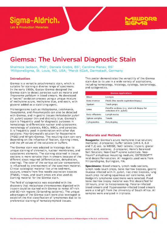 picture_304 Giemsa Academia