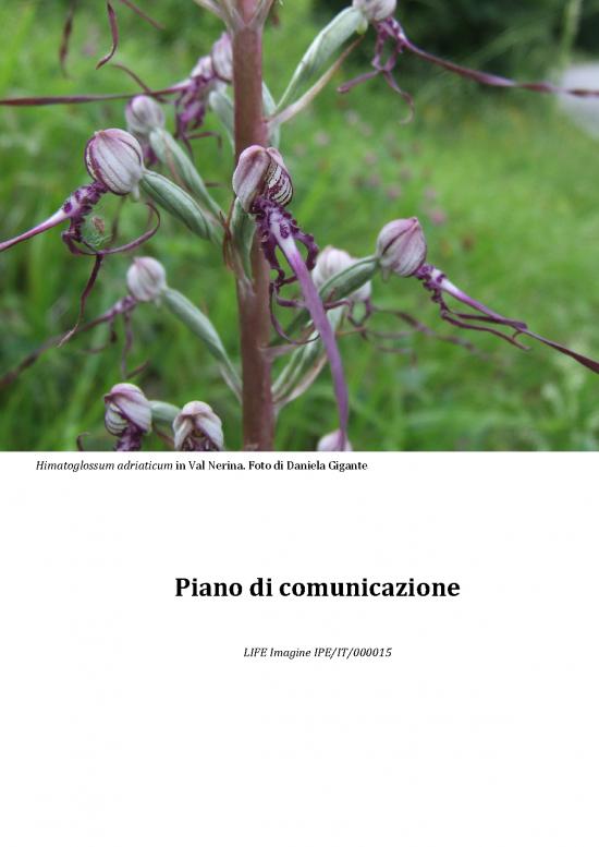 picture1_Piano Pdf 94063 | Imagine Piano Di Comunicazione Def