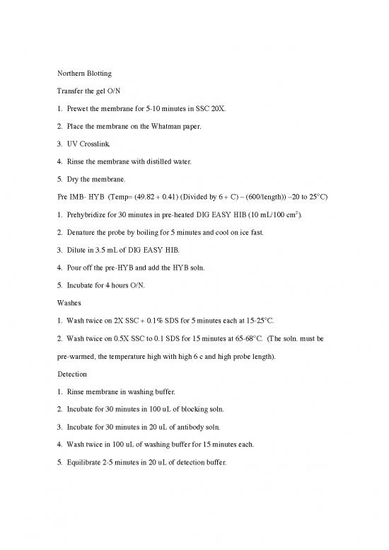 picture_Northern Blotting