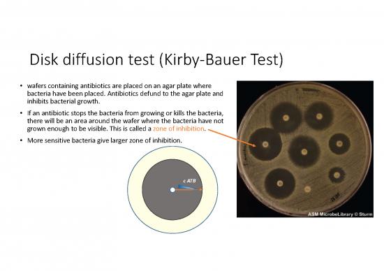 Antimicrobial Susceptibility Testing Methods Pdf 91933 | Methods Of ...