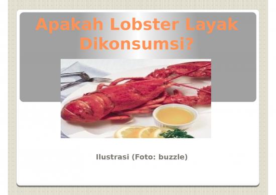 picture_Lobster Layak Dikonsumsi | Perikanan Dan Kelautan