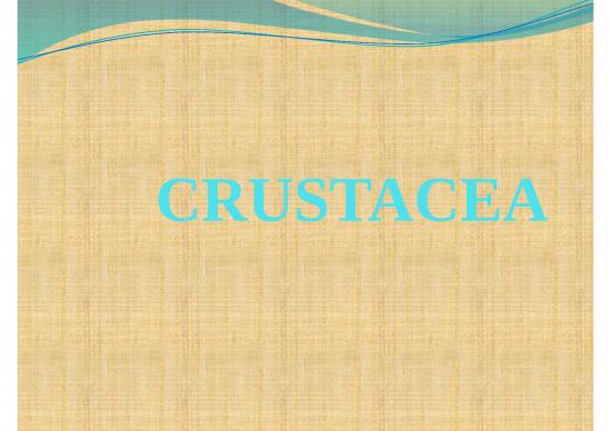 picture_Point Crustacea | Perikanan Dan Kelautan