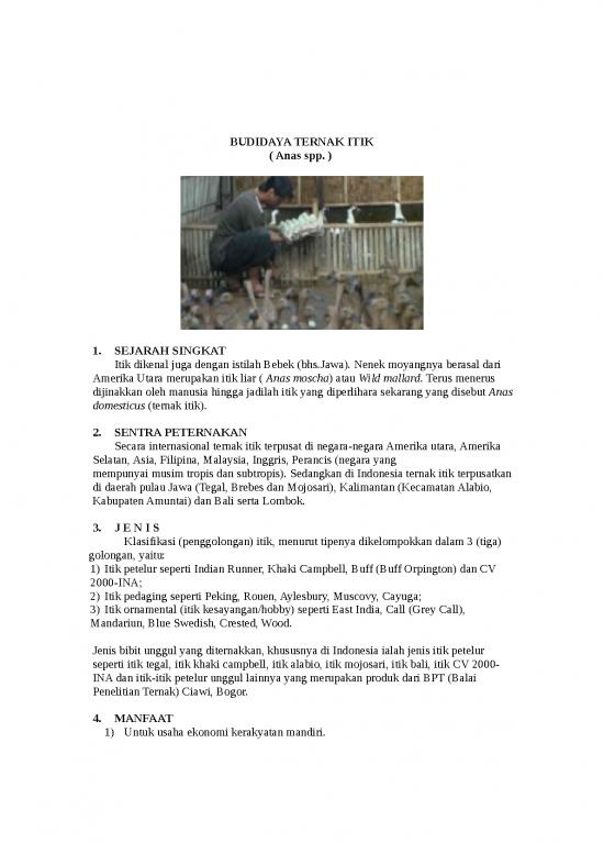 picture_X Budidaya Ternak Itik  Word | Pertanian Dan Peternakan