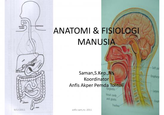 picture1_Darah Pdf 9815 | Anatomi Fisiologi Manusia Mkss Ok | Ilmu Kesehatan