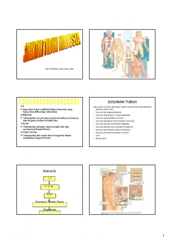 picture_Darah Pdf 10070 | Sel Item Download 2022-06-30 21-32-01 | Ilmu Kesehatan