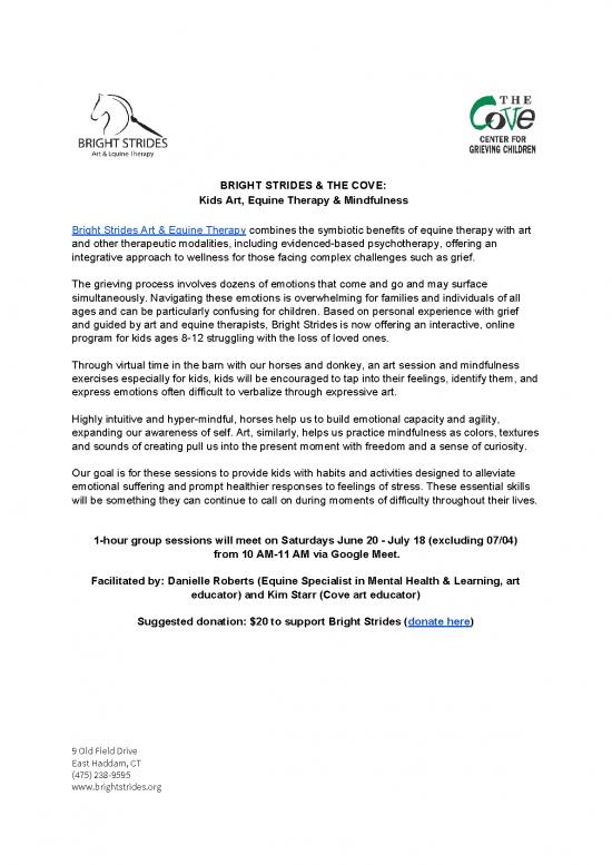 picture_Bright Strides The Cove Virtual Art Equine Therapy Kids Program