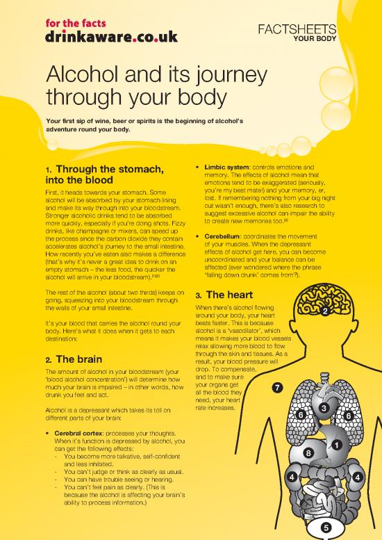 picture1_Journey Out Of The Body Pdf 116892 | Alcohol And Its Journey Through The Body