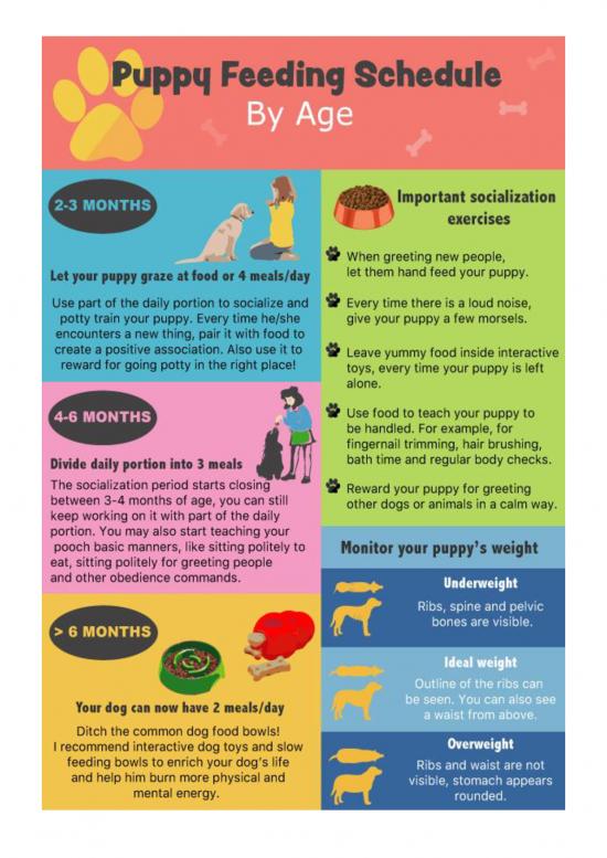 balanced-diet-chart-pdf-132882-pet-diet-chart