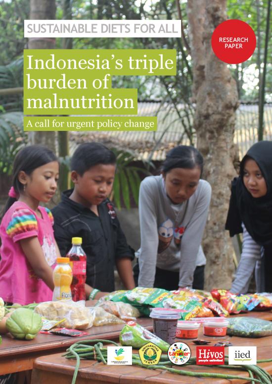 picture Nutrition Project Pdf 133826 | 16662iied