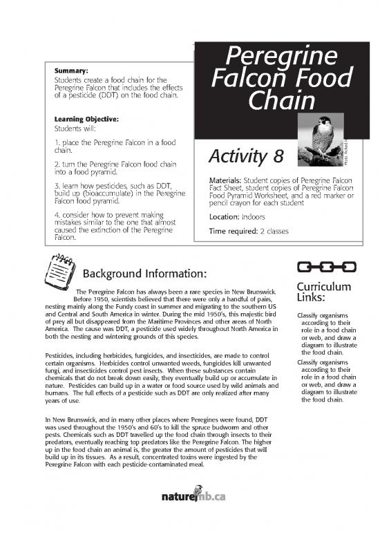 picture1_Food Pyramid Pdf 134052 | Activity 8 Peregrine Falcon Food Chain