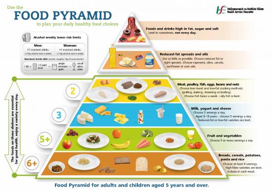 19 Food Pyramid Printable Pdf Files | Download Free Collection Files