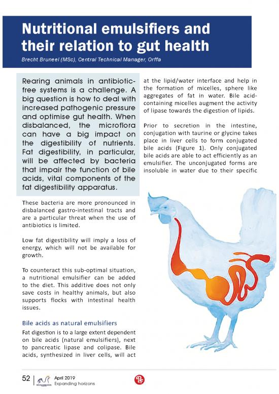 picture_Poultry Focus Africa V7i4 Orffa Article 1