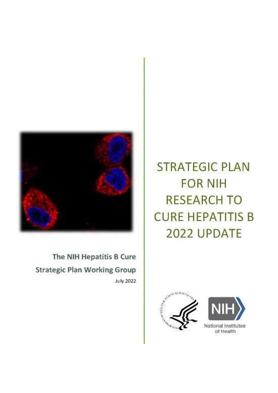 Trans Nih Hep B Strategic Plan 2022